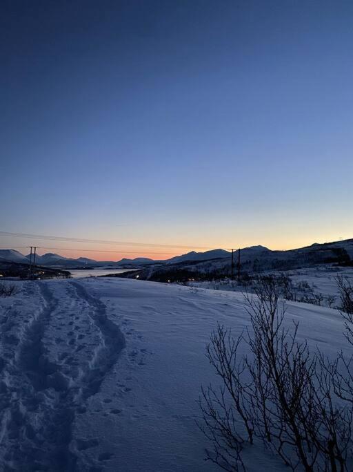 Aurora Leilighet Tromsø
