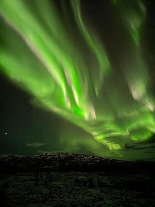 Aurora *